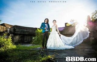 2019最新4664个有关婚礼摄录 之价格及商户联络资讯 HK 88DB.com